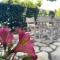 Villa Tina Country Beach Apartments