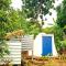 Seaview Eco Lodge - Atkinson