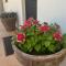Nautilus Hamptons Style Luxury Beach Apartment Merimbula