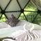 Adventure Dome Resort
