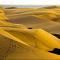 Maspalomas dunes