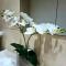 City centre 2 bed & 2 bath Apartment with FREE secured PARKING near University and Hospital