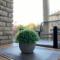 Apartman Žuki - Pirovac