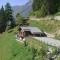 Chalet Haut Cinq - Grimentz