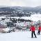 Tremblant Chalet Walking Distance from Activities - مونت تريمبلانت