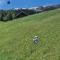 Basecamp-Ried