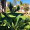 B&B BELLAMI