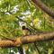 The Valley Tayrona hostel- A social jungle hostel - 埃尔扎伊诺