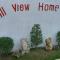 Hill View Home Stay