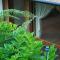 Harmony Botanic