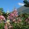 Breeze Hill Resort - Khao Kho
