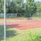 Pet Friendly Home In Vlagtwedde