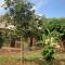 Stevalyn's Ridge View Lodge - Jinja