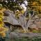 Carmel Valley Ranch, in The Unbound Collection by Hyatt