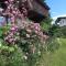 Fuchs Alm - Itter