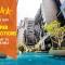 Imperio Private Bathtub Melaka Town By MICASA GROUP