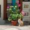 Art Hostel Casa Chaman
