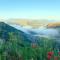 Canyon View Dsegh