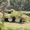 Klippan River Lodge