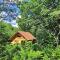 Bear Watching Tiny House - Lupeni