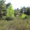 Amazing Home In Nexo With 3 Bedrooms And Wifi - Neksø