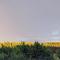 Nice Home In Gusum With Lake View - Gusum