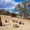 the YellowBoxWood Heathcote - Echidna Ridge and Emu Valley Tents x 2
