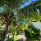 Vivo Siargao