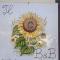 Apartment Girasole