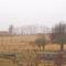 Awesome Home In Sassnitz With Kitchen - 萨斯尼茨