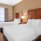 Comfort Inn & Suites Northeast - Gateway - St Petersburg