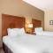 Comfort Inn & Suites Northeast - Gateway - St Petersburg