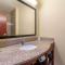 Comfort Inn & Suites Northeast - Gateway - St Petersburg