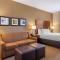 Comfort Inn & Suites Northeast - Gateway - St Petersburg
