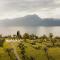 Cape of Senses