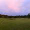 Camplee - 50 Private Acres - Lake Sam Rayburn - Zavalla