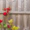 Coleshill townhouse sleeps 6 NEC/BHX 10 MINS - 科尔斯希尔