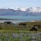Kaldbaks-kot cottages - Húsavík