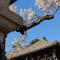 Nara Park Hotel