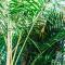 Driftwood Callala Plus - Jervis Bay Getaway - 10 Guests!