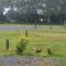 Camping Aire Natuelle dAgy