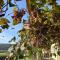 Flussnest Fulda