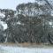 Cosy Cabin 15 min drive from Mount Hotham - Dinner Plain