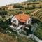 Badacsony Villa Ria