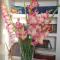 Oryza Guest House
