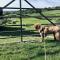 Eilio Cottage- Closely located to Snowdon - Waenfawr