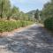 Prato Bello