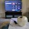 3 bedrooms 2 bathrooms, free Driveway parking, 2 min to Ohio state Univrrsity, AC, free wi-fi, washer and dryer, ExpoCenter, Bus stop, University shuttle, Riverside Methodist Hospital - Columbus