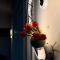 Elegant 3 Rooms Apartment in Private Villa in New Cairo - القاهرة