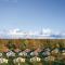 Nice Home In Rechlin With Sauna - 雷希林